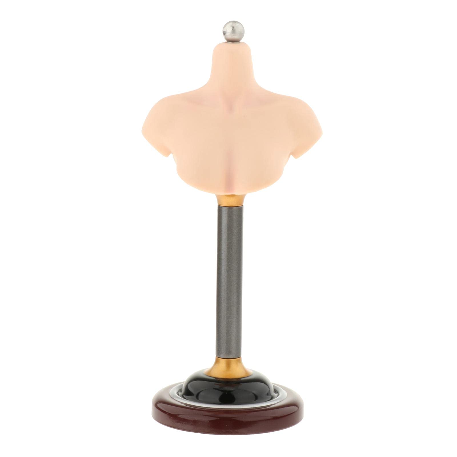Amazon | 1/6男性女性バストスタンドヘッドフィギュアモデルハーフ