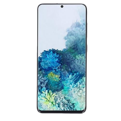 GOWENIC Telefonens Pekskärms-digitaliseringsenhet med Ram och Reparationsverktyg, Högpresterande Skärmbyte för S20 4G, Idealisk för Felaktiga Svar, Tydlig Display för Autentisk Visuell Upplevelse,