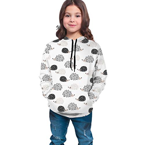 Unisex Children Youth Tops Hoodies Fashion Teenager Hooded Sweater Sweatshirts for Teen Boys/Girls Kids(Sweet Hedgehog, M)