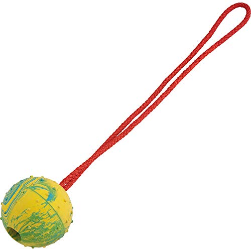 Sprenger Hundespielzeug Ball extrem robust I Gummiball mit Seil I Zerrspielzeug oder Wurfspielzeug mit Schnur, robuster Ball für Hunde, Ø 60mm Cover