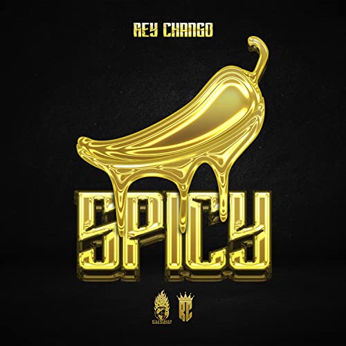 Amazon.co.jp: SPICY [Explicit] : Rey Chango: Digital Music