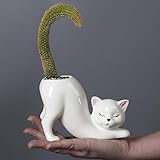 BYVUTE Ceramic Cat Succulent Pots, Cute Funny Kitty Planter, Creative Plant Pots for Plants, Succulents, Flowers, Cactus, for Indoors Outdoor Office Home Garden Kitchen Decor (White)