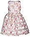 Bonnie Jean Girls 3M-6X Burnout Stripe Organza Flower Waist Dress (Pink-Multi, 3T)