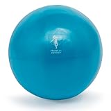 OPTP Franklin Air Ball - LE9004