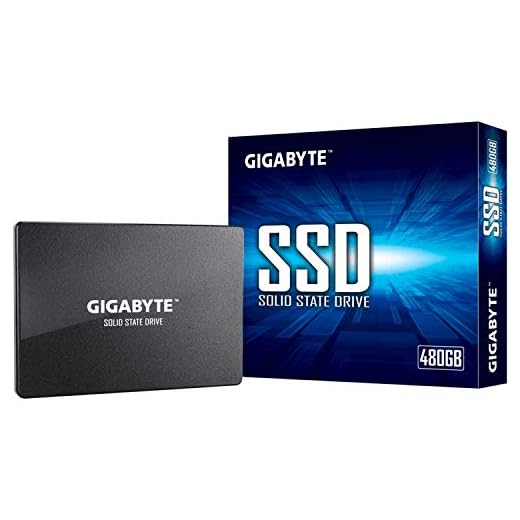 Gigabyte SSD de 480 GB (GP-GSTFS31480GNTD)