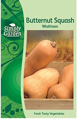 Simply Garden Courgette Black Beauty Vegetable Seeds Grow Your Own Garden