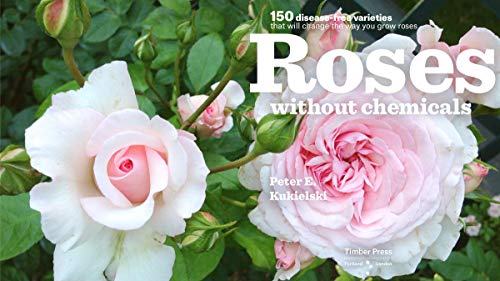 Roses Without Chemicals: 150 Disease-Free Varieties That Will Change The Way You Grow Roses #TOP2