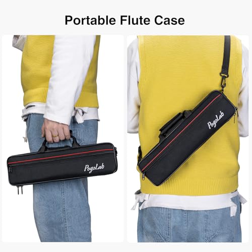 POGOLAB Open Hole C Flute, 16 Keys Student Flute Instrument for Beginner Advanced Player, with Carry Bag, Strap, Gloves, Adjustment Screwdriver, Cleaning Kit (Open/Closed Hole, Silver Plated)