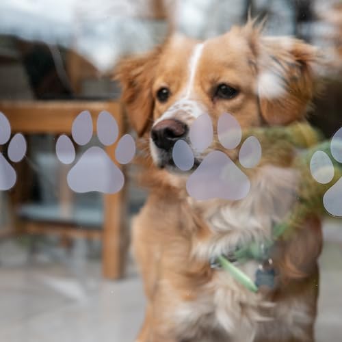 12 x Dog Paw Print Stickers Decals for Glass Doors | 3in x 3in Dog Paw Stickers Sliding Glass Door Decals | Vinyl Awareness Window Clings for Safety Awareness
