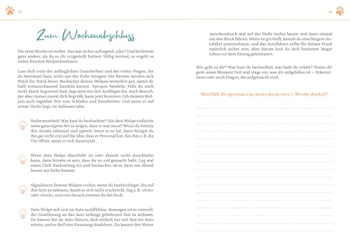 Das erste Jahr mit deinem Welpen – dein Wochenkalender: 52 Wochen voller Know-how, Tipps und Freizeitspaß | Mit Platz für deine Notizen und Erinnerungen, Wochenjournal, Geschenk