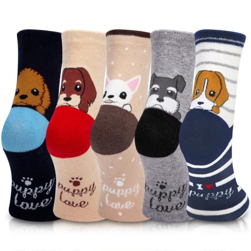 Calcetines para mujer lindos ideales para regalar en invierno lote de 5 modelos