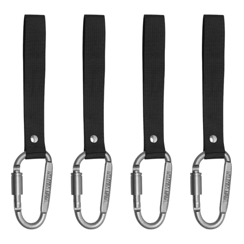 4 Stück Karabinerhaken D Form, Karabiner mit Schraubverschluss und Gurtband, Schraubkarabiner für Camping, Outdoor, Reisen, Wandern, Haustierleine, Angeln, Rucksacktourismus (Grau)