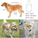 Regenjacke Hund,transparent PVC Hunderegenmantel,Regenmantel Hund Haustier-Regenmantel mit Kapuze,leicht Regenmantel,für kleine, mittelgroße Hunde,Zurück lange 36cm