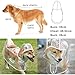 Regenjacke Hund,transparent PVC Hunderegenmantel,Regenmantel Hund Haustier-Regenmantel mit Kapuze,leicht Regenmantel,für kleine, mittelgroße Hunde,Zurück lange 36cm