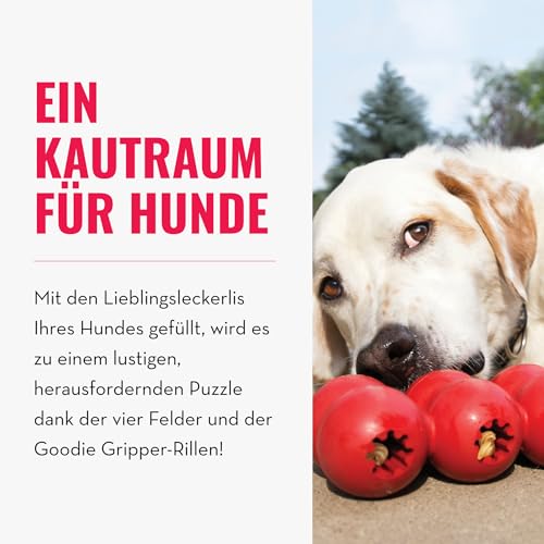 KONG Goodie Ribbon - Befüllbares Hundespielzeug aus Naturkautschuk - Kauspielzeug in Knochenform - Für Kleine Hunde