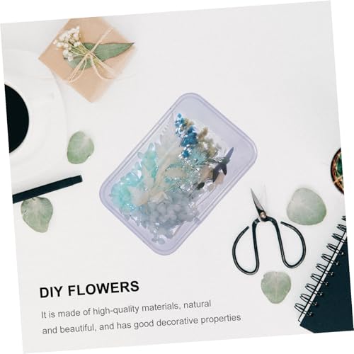 Kit de flores secas naturales para manualidades DIY miniatura 4