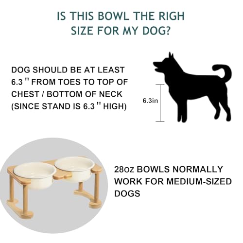 Wordcam L001 Elevated Ceramic Dog Bowls, Porcelain Raised Dog Bowl thumb #5