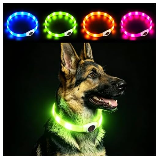 LaRoo LED Hundehalsband USB Wiederaufladbarer Night Safety Hundehalsband Leuchtend Halsband für Klein Mittleren Großen und Langhaarigen Hund