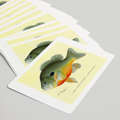 Baraja de 52 cartas estilo póker con arte pez sunfish miniatura 5
