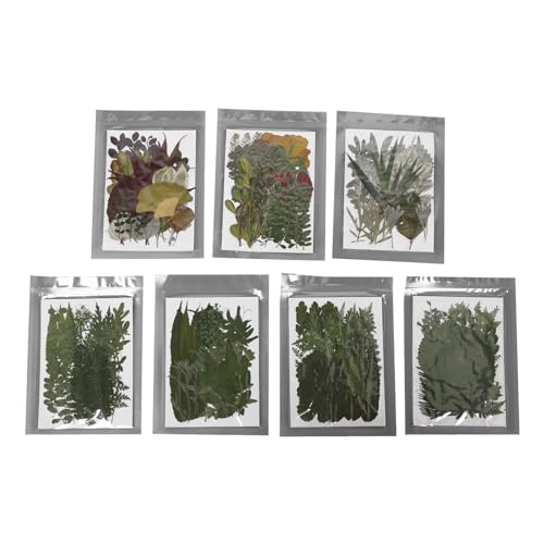 Kit de fleurs pressées séchées colorées pour résine sans bulles