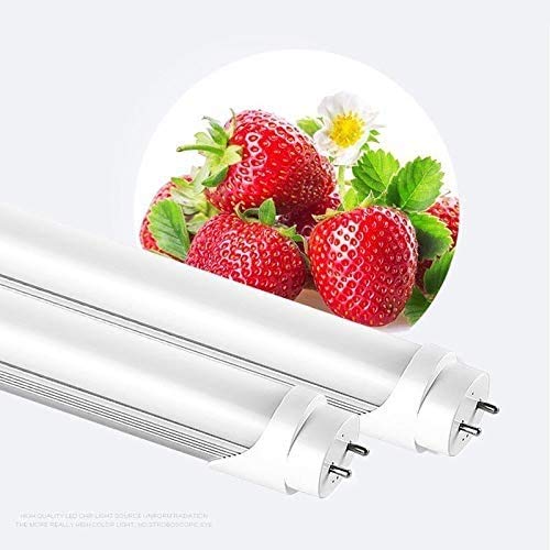 LED蛍光灯 40W形 25本 直管 蛍光灯 18W 電球色 楽天市場】【楽天1位 6冠達成】led蛍光灯 40w形 直管 昼光色 昼
