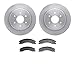 Dynamic Friction Company Rear Brake Rotors with 5000 Advanced Brake Pads 6502-67540