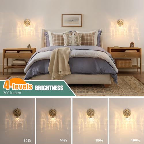 Image of Shenmoyl Battery Operated Wall Sconce, Vintage Rechargeable Wall Lights with Clear Lily Glass Shade, Wireless Indoor Wall Lamp with Remote for Bedroom Living Room Bathroom Hallway