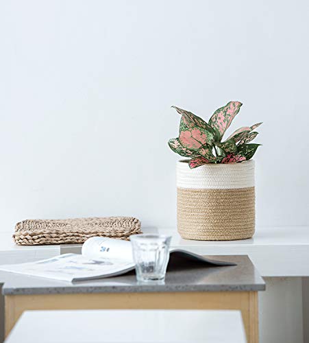 Image of Dahey Small Cotton Rope Plant Basket Woven Plant Coiled Basket for Up to 7 inch Planter, 7.5 inch x 8 inch Decorative Flower Pot Cover Closet Storage Bin Table Desk Organizer for Home Decor, White and Beige