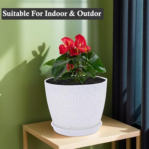Image of Kuber Industries Plastic 8 Inch Pots for Plants with Tray | Planters for Home Decor, Living Room and Office | Indoor and Outdoor Flower Pots for Balcony and Terrace | Marble Mega - White