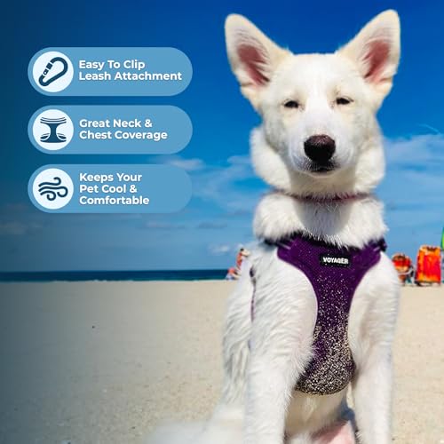 Image of Best Pet Supplies Voyager Adjustable Step-in Flex Breathable Mesh Dog Harness for Small Medium Large Dogs (Purple), XL