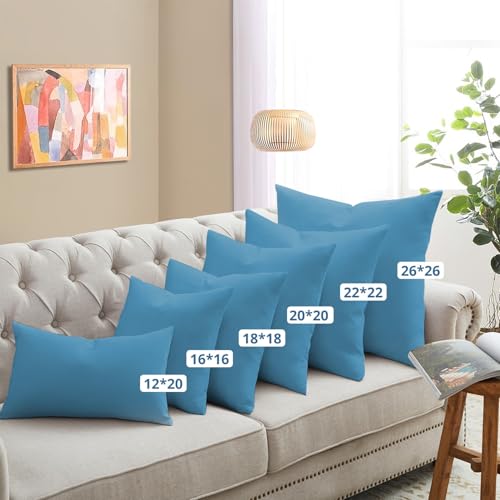 puredown® Outdoor Waterproof Throw Pillows, 22 x 22 Inch Feathers and Down Filled Decorative Square Pillows for Garden Patio Bench, Pack of 2, Blue