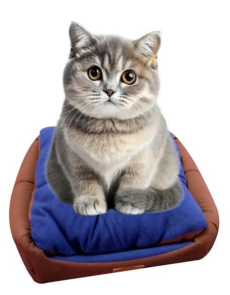 Image of PETS EMPIRE Fluffy Hut Bed for Cats, Kittens, Puppies and Dogs (Large Size: 40 * 40 * 45 inches) Soft, Comfortable, Lightweight, and Pet-Friendly Tent /Kennel /House (Brown)