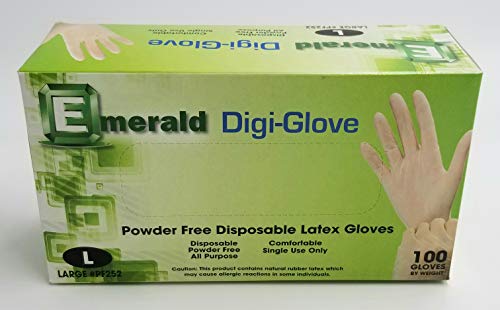 Disposable Large Latex Gloves Powder Free 100 Count [LGLPFX]
