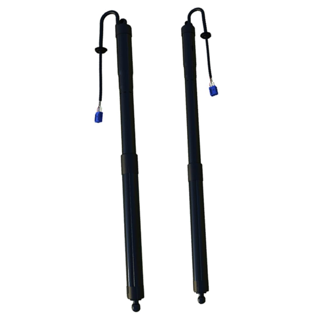 Rufutle Liftgate Struts for BYD Song DM/EV 2019, Power Tailgate Lift Support Electric Rear Trunk Strut SAFG6309511/SAFG6309512