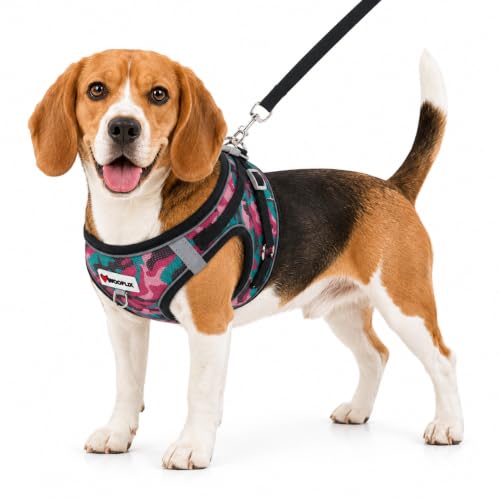 Image of Wooflix Reflective No Pull Dog Harness with Leash for Puppies, Small & Medium Breed Dogs, Adjustable Soft Breathable Padded Mesh Pet Harness Vest, Cherry | Extra Large (7 kg - 10 kg Dogs & Cats)