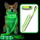 LED Dog Collar & 5FT Leash Set, USB-C Rechargeable Light Up Collar