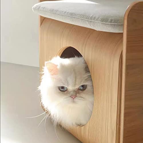 Table d'appoint en bois et lit pour chat fermé pour éliminer le désordre - 5