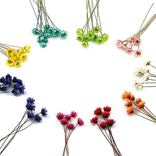 Miniatura 8 de 100 tallos naturales de flores secas brasileñas pequeñas estrellas margaritas decorativas flores secas mini margarita ramo de manzanilla para bodas,