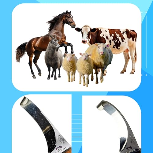 Image of Hoof Knife Single Sided Edge Curved Blade - Stainless Steel Curved Blade Farrier Tool with Wooden Handle, Multipurpose Hoof Trimming Knife for Livestock, 3-Inch Blade, 8.5-Inch Overall