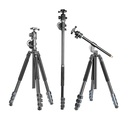 Digitek (DTR 540 BH) Heavy Duty Multi-Angle DV Tripod Cum Monopod...