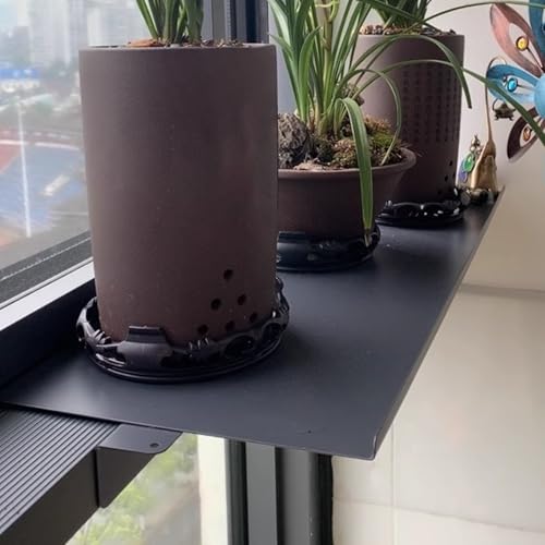 Fensterbank Verlängerung Schmales Fensterbrett für Pflanzen im...