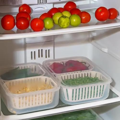 Image of TASMAX Fridge Storage Boxes, Plastic Fridge Containers, Fridge Accessories Items, (FRIDGE CONTAINER 2 GRID)