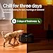 PETLIBRO Automatic Cat Feeder Wet Food with Stainless Steel Bowl, Refrigerated Auto Cat Feeder with Semiconductor Cooling, 3 Fresh Meals for 3 Days, App-Controlled Pet Food Dispenser, Easy to Clean