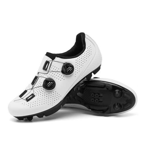 [MASZRE] rfBOV[Y }EeoCNp TCNOV[Y YEfB[X SPDΉ y