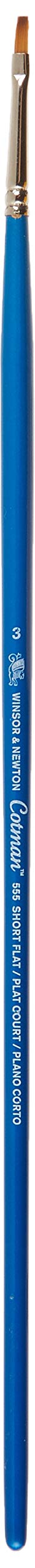 Winsor & Newton Brush, Wood, Transparent, no. 3 - 3 mm, flat - brush, long handle