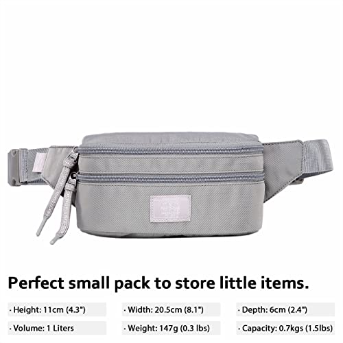 Image of 521s Small Fanny Pack Fashion Waist Bag Cute for Women, Silver