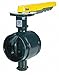 Butterfly Valve, Grooved, 3 In, Iron