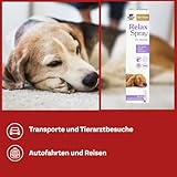 Doppelherz Relax Spray für Hunde - Umgebungsspray für mehr Wohlbefinden - geruchsneutral - 90 ml
