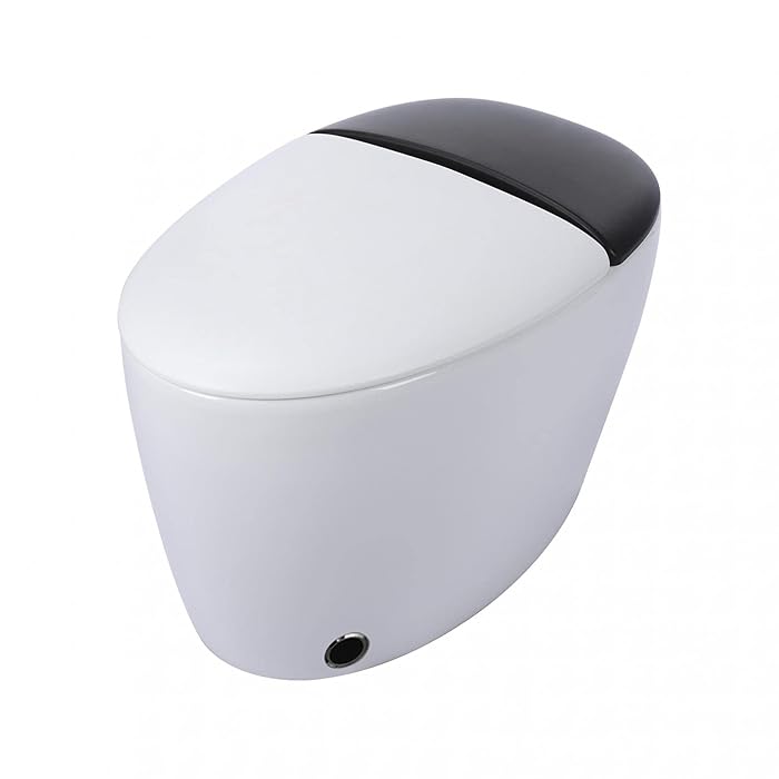 Buy Sanamity Toilet Bedette Heated Seat Cover Tankless Water Heater Flushing Kit Corner Toilet
