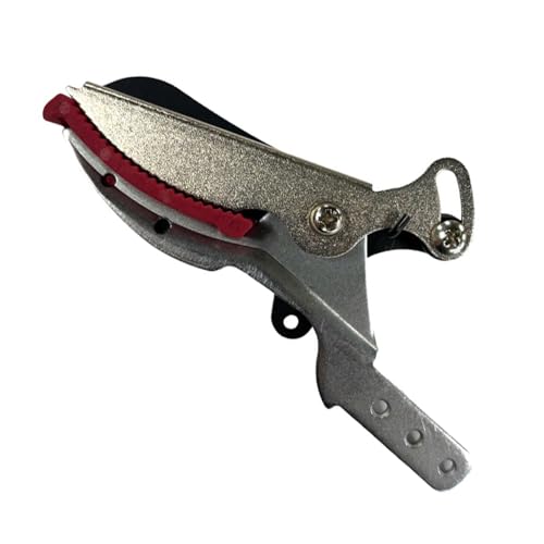 g }pi Zbg SGLP-11 1set